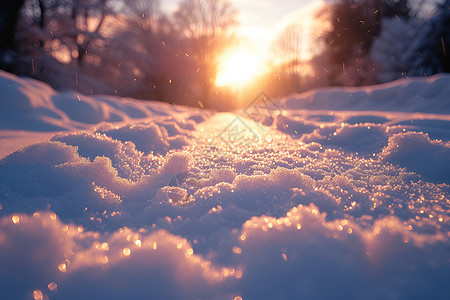 阳光照耀下的雪景背景图片