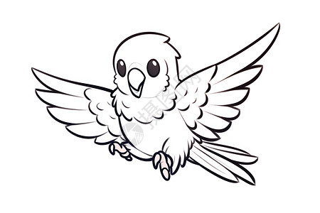 黑白羽毛飞翔的鹦鹉插画