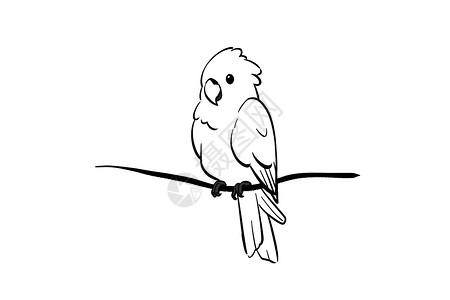黑白羽毛快乐鹦鹉插画