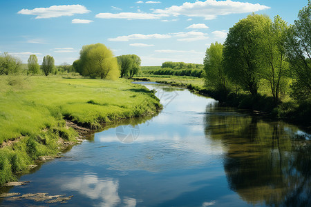 小溪潺潺绿野高清图片
