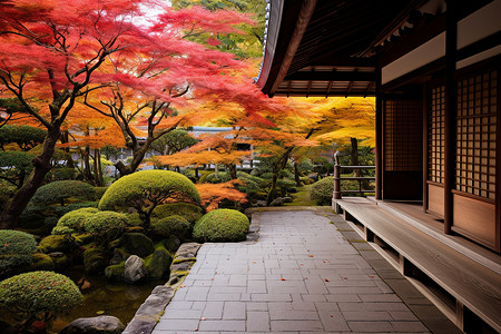 秋季的禅院枫叶中禅寺高清图片