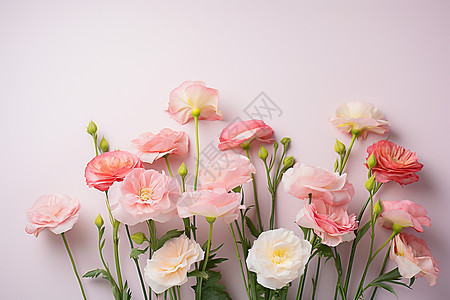 粉色花瓣的装饰背景图片