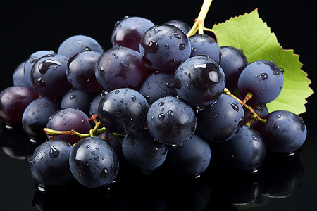 葡萄成熟了紫色葡萄与叶子背景