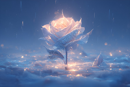 玫瑰花干冰雪中的花插画