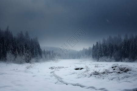 林中冬雪背景图片