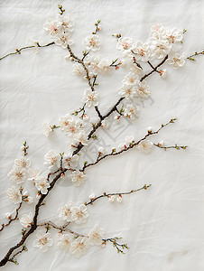 精美壁纸的花朵刺绣背景图片
