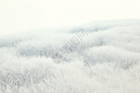 迷雾中的草原背景图片