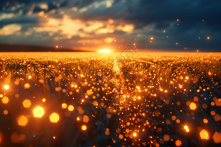 檀香作物夕阳下的太阳能土地设计图片