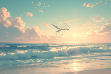 大海上的海鸥翱翔背景图片