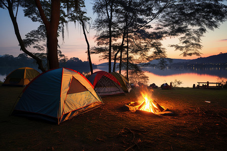 夜晚树木夕阳下的篝火背景