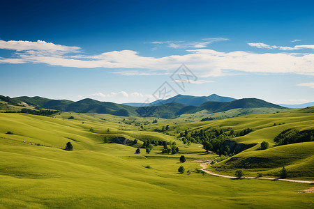 环境与金钱绿色山谷与山脉背景