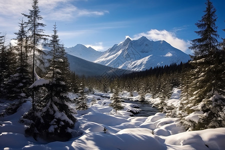 冬日里的乌苏拉山高清图片