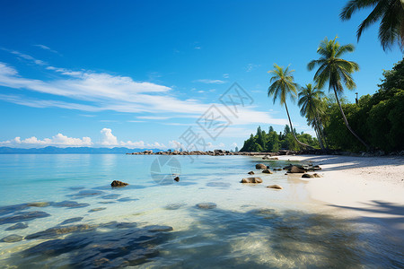 阳光明媚的沙滩背景图片