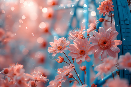 一束粉色花朵背景图片
