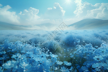 户外的蓝色花海背景图片