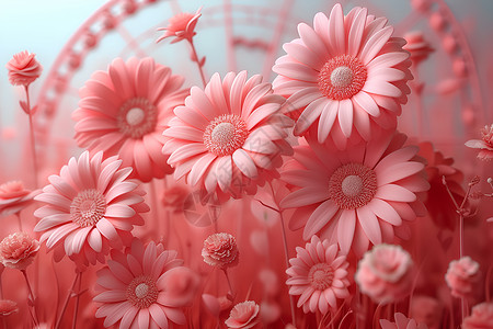 粉红色的波斯菊摩天轮背景图片