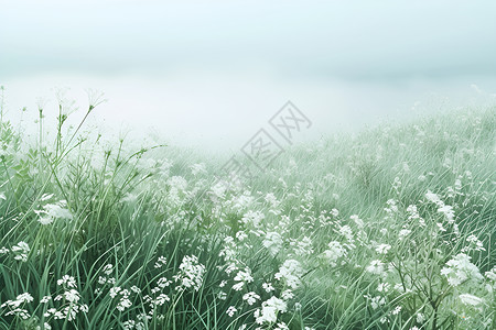 白花与草原背景图片