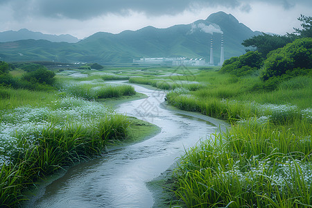 蜿蜒的溪流背景图片