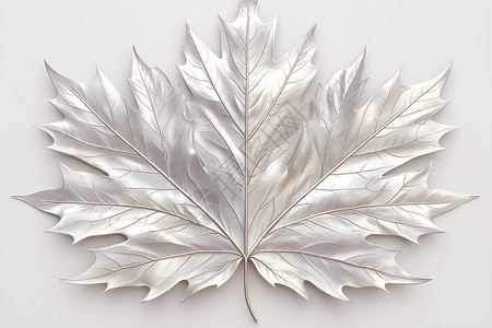 银色元素细腻质感的枫叶插画