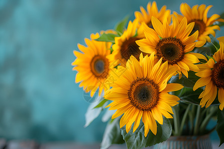 太阳花束向日葵花束高清图片