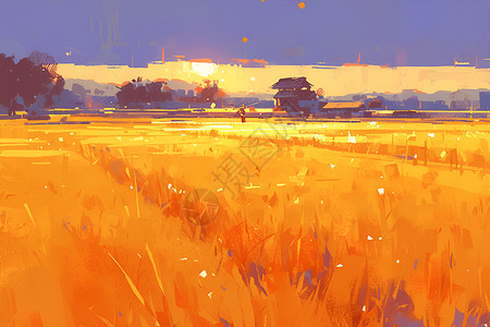金黄色的稻田背景图片