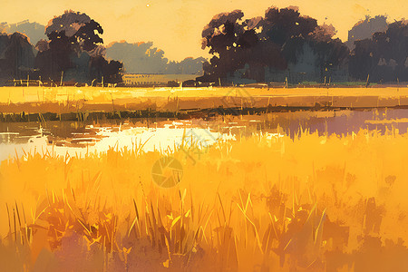 丰收的金色稻田背景图片