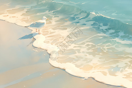 曙光沐浴沙滩背景图片