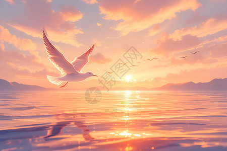 海边的飞鸟海洋海鸥高清图片