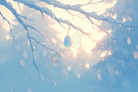 冬日梨树背景图片