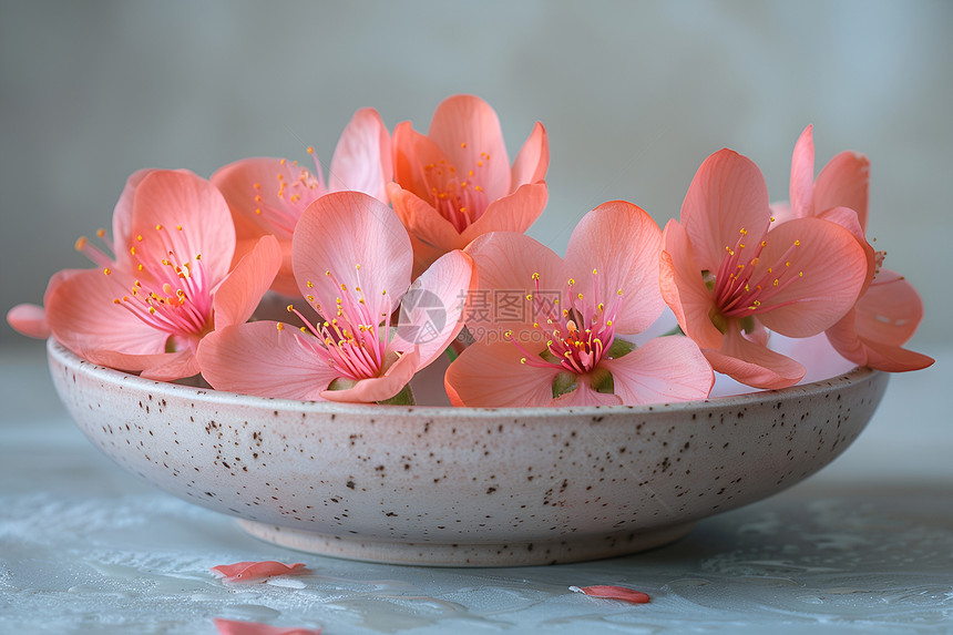 瓷碗中的花朵图片