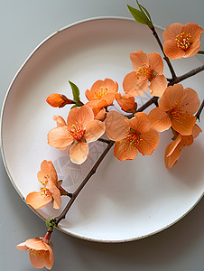 橙花枝放在白色盘子上背景图片