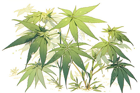 翠绿的植物背景图片