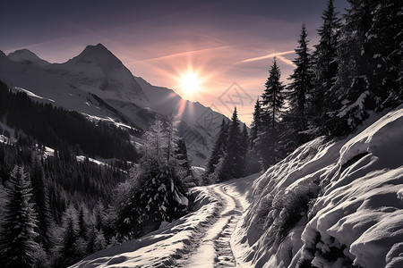 冬日夕阳下的雪路背景图片