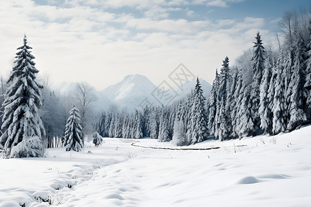 冬日山路飘雪背景图片