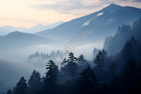 被雾围绕的山谷背景图片