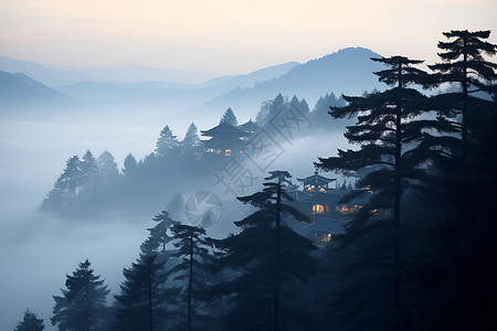 有雾山脉森林山云雾缭绕的山谷背景