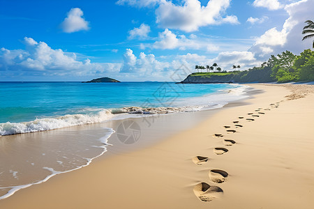 青蛙脚印海滩足迹背景