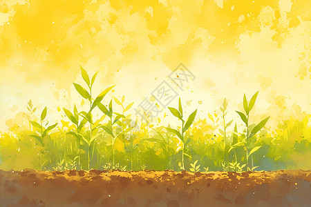 玉米地幼苗田园中的树苗插画