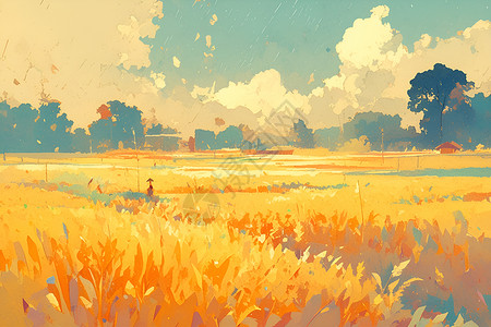 农村的黄色麦田背景图片