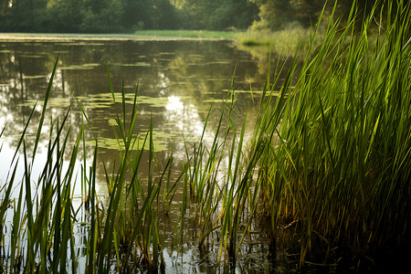 湖畔秋意浓水面反射高清图片