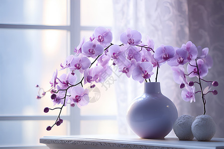 紫色花瓶紫色的兰花背景