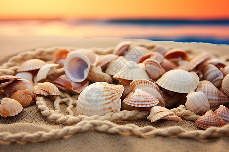 细绳子海滩上的贝壳背景