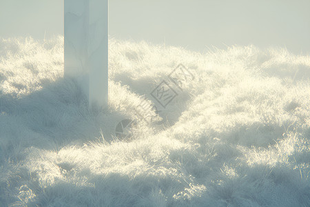 覆盖了雪的草地背景图片