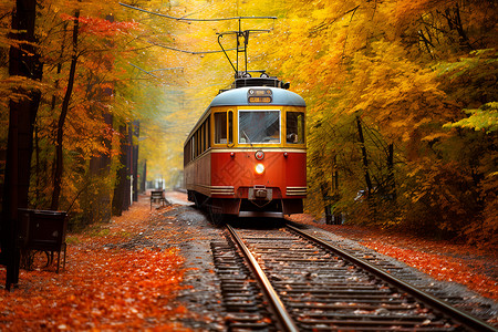 有轨列车秋天森林中的轻轨列车背景