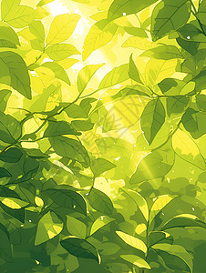 设计的绿色枝叶背景图片