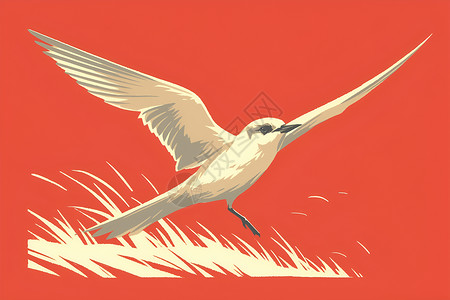 极地动物极地燕鸥飞翔于草坪上