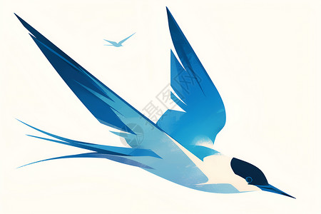 白额燕鸥飞翔的北极燕鸥插画