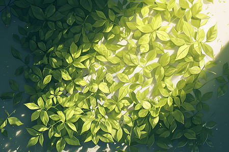 野生茶树茶叶上的阳光插画