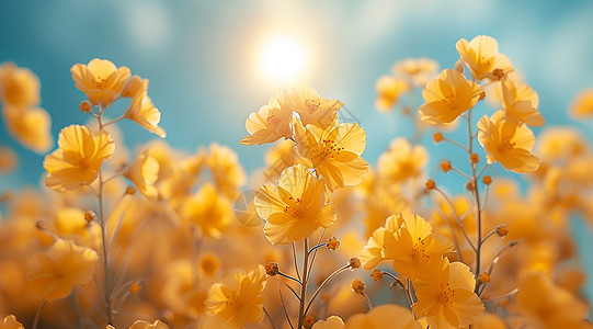 黄色世界花卉背景图片