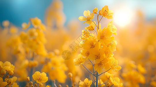 金色描边花朵金色的花海背景